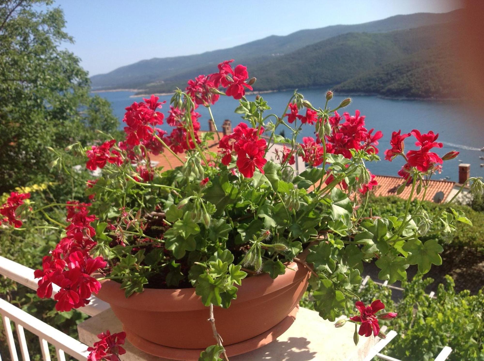 Apartments Alma Rabac Εξωτερικό φωτογραφία